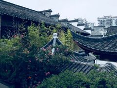 -芥子园