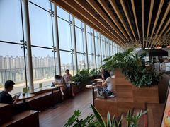 -Seesaw Coffee(朝阳大悦城店)