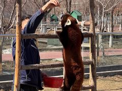 -水上乐园·欢乐世界