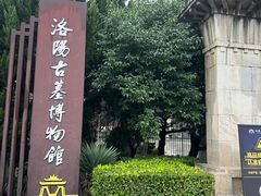 -洛阳古墓博物馆