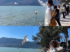-滇池海埂公园