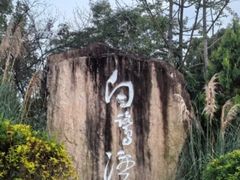 -白鹭湾湿地公园