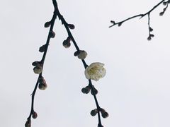 -颐和园