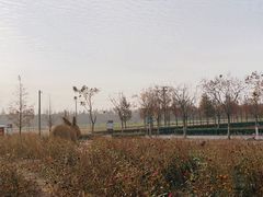 -嘉北郊野公园