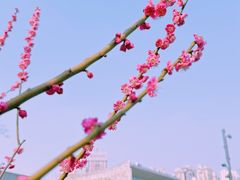 -静安雕塑公园