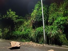 -南山植物园