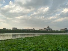 -莲花池公园