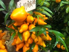 -三旗百汇商品城