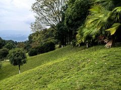 -铁山坪森林公园