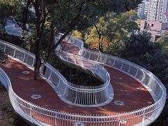 -金鸡山公园