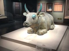 -宁夏博物馆