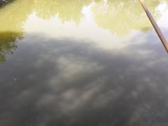 -尚庄度假村·庭台树下·户外烧烤·团建CS·轰趴营地(上庄水库店)