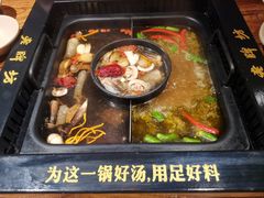 藤椒锅-老牌坊云南鱼豆花火锅(哈西万达店)