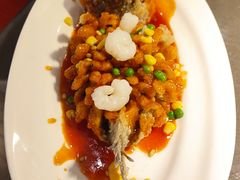 -宋园·金宴浙鲜馆(静安店)