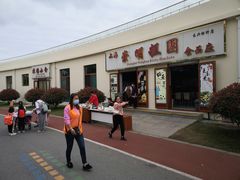 -上海长兴岛郊野公园