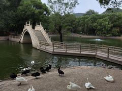 -石家庄市动物园