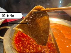 -九鼎轩脆毛肚火锅(南京东路店)