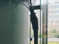 -李沧绿城喜来登酒店大堂吧