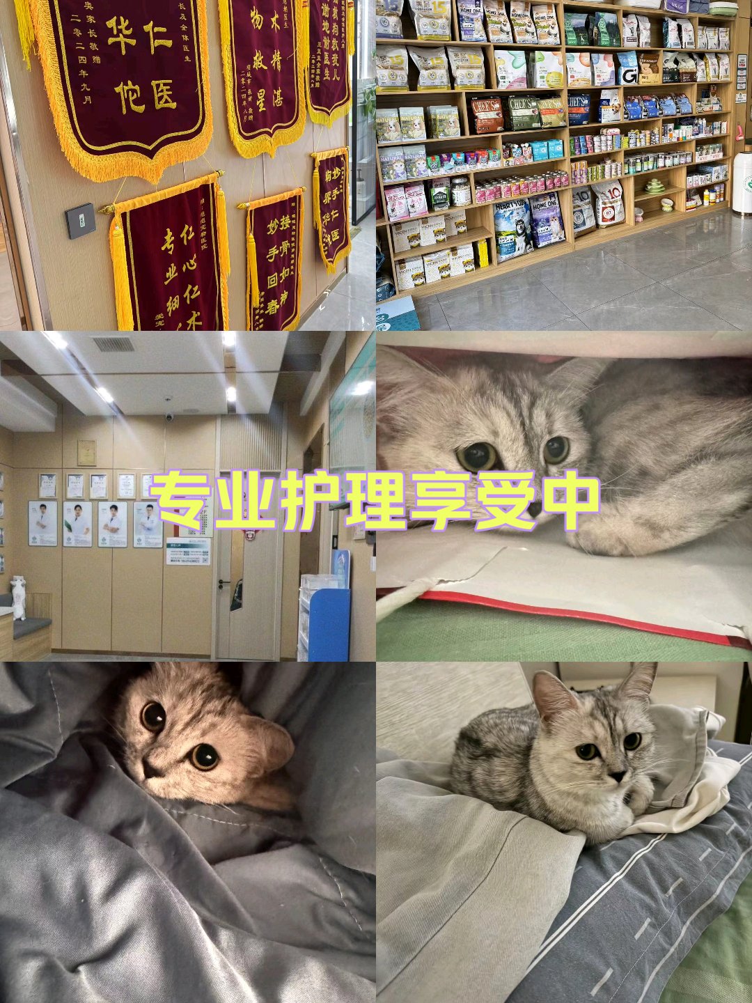 關于北京301醫院陪診跑腿電話，安心就醫首選，的信息