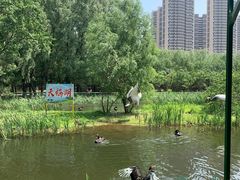 -长白岛森林公园