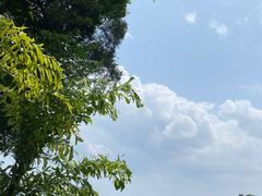 -广州市白云山风景名胜区