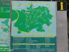 -火炉山森林公园