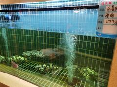 -通庆楼(新开路店)