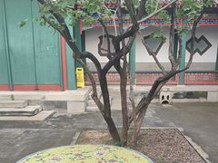 -宫事颐庭·老佛爷贵寿下午茶(颐和园店)