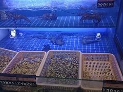 -百年银屏蚝烙·潮汕菜·非遗(乐山店)