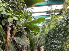 -第五季龙水凤港生态露营农场