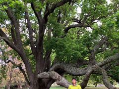 -墨尔本皇家植物园