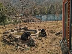 -无锡动物园·太湖欢乐园