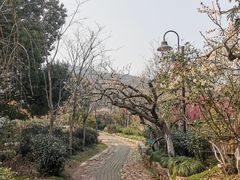 -雨花胜境