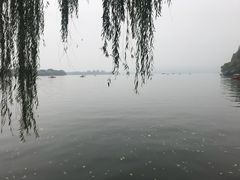 -世纪缘国际会议中心·中餐厅(百家湖店)