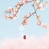 这是适合播种的时节。花怒放，人有情