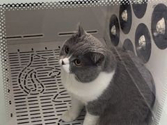 -博特宠物医院24h犬猫全科.骨科·异宠