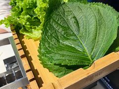 -玉善烧烤串城(长春总店)
