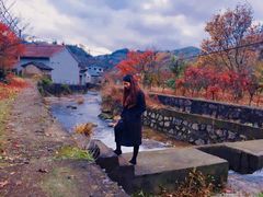 -四明山国家森林公园