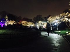 -堤角公园