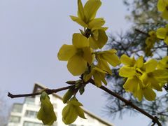 -月坛公园