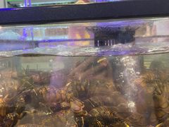 -盒马鲜生(大成店)