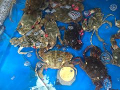 -宾朋海鲜美食餐厅·特色美食(兴海路店)