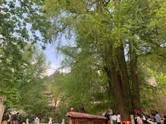 -潭柘寺景区
