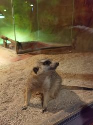 -酷嗒动物文化乐园(cutezoo西溪乐天城店)