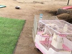 -前小桔亲子创意农场·草莓采摘·露营烧烤