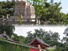 -沂蒙山旅游区云蒙景区(蒙山国家森林公园)