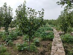 -滆湖低碳生态公园