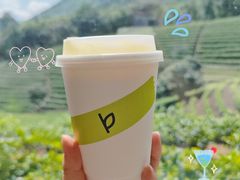 -白茶原·一片叶子