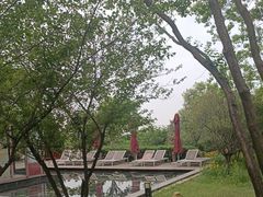 -东海森林温泉