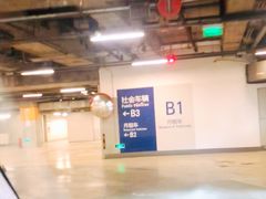入口-上海环球金融中心-停车场